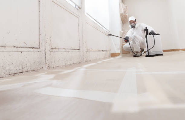 24/7 Emergency Commercial Mold Remediation experts in Spring Hill, FL